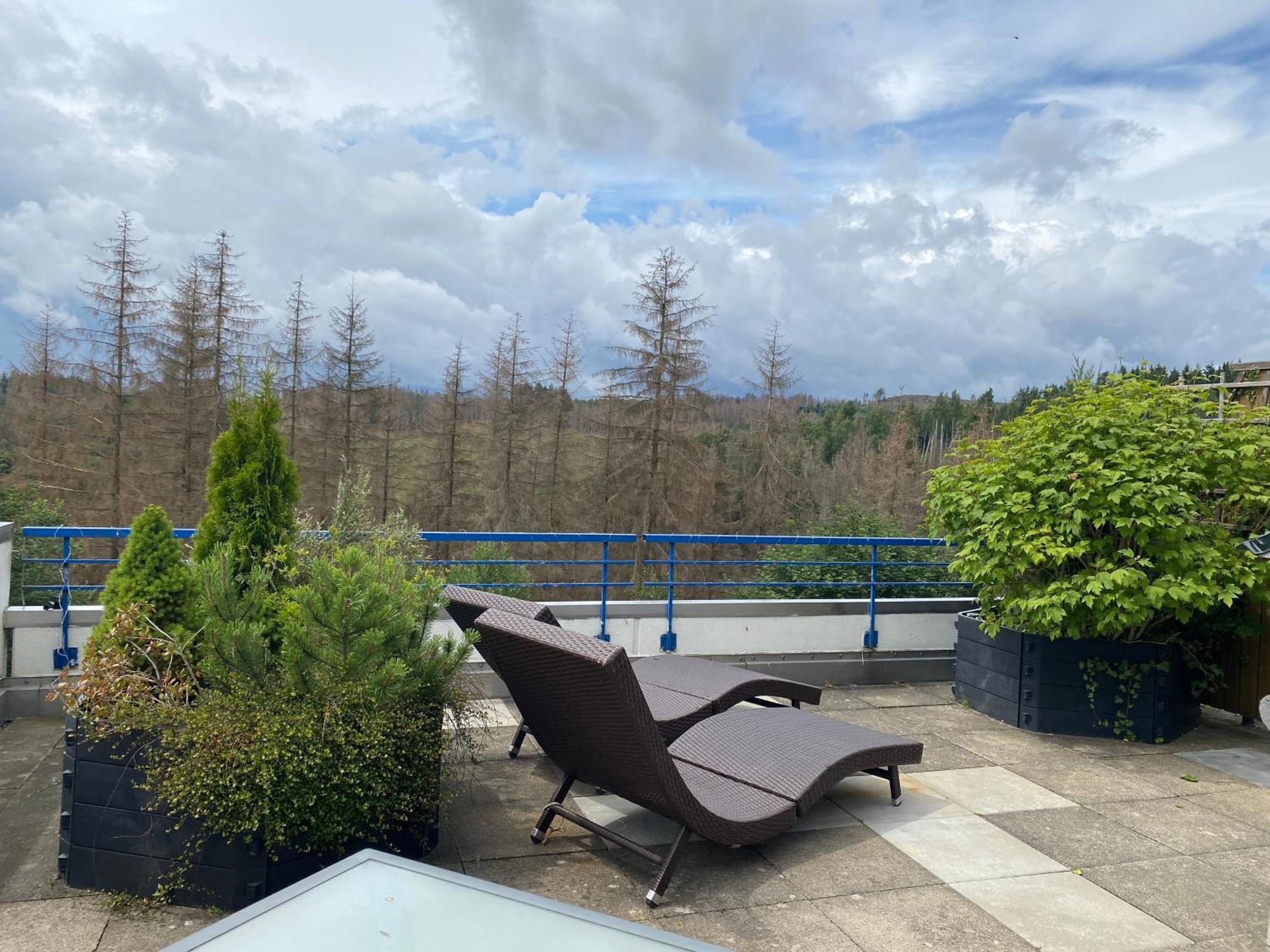 Ferienwohnung Harz #3, Pool, Sauna, Wlan Hohegeiß Εξωτερικό φωτογραφία